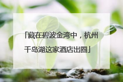 藏在碧波金湾中，杭州千岛湖这家酒店出圈